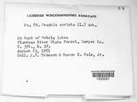 Image Associated With the Occurence